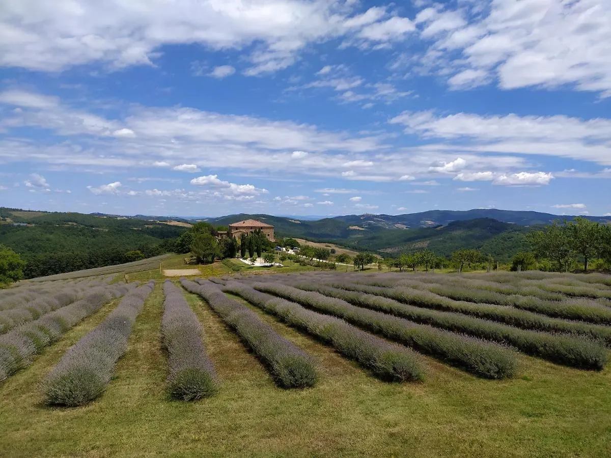 Locanda Cugnanello Villa Castelnuovo di Val di Cecina 0*, Anqua